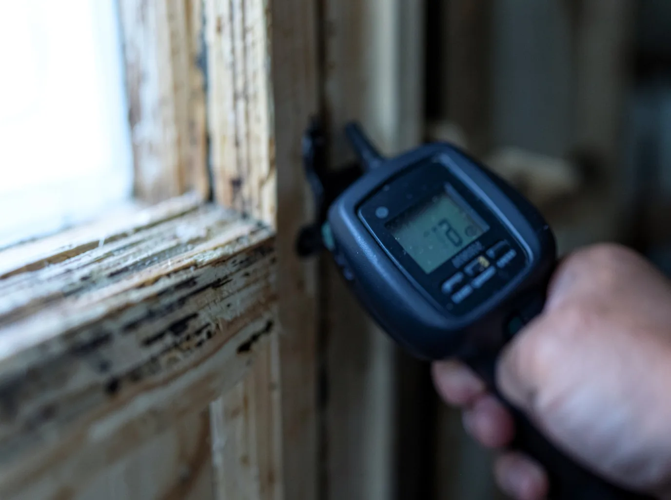 Moisture Inspection And Documentation in Rockwood, PA